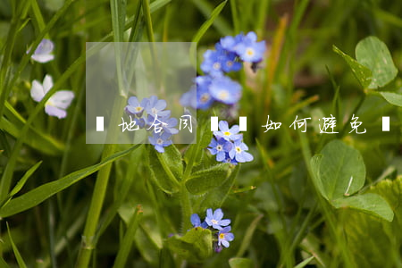 軍地合同糾紛如何避免(軍地糾紛處理程序)
