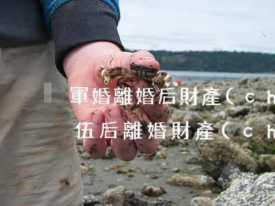 軍婚離婚后財產(chǎn)怎么分(軍人退伍后離婚財產(chǎn)怎么分)