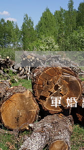 軍婚離婚小說(shuō)