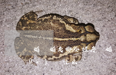 軍婚離婚走哪些程序(軍婚離婚需要準(zhǔn)備什么)