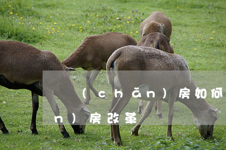軍產(chǎn)房如何房改(軍產(chǎn)房改革)