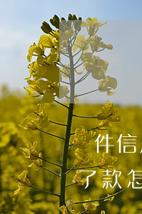 軟件信用卡不還會怎么辦(信用卡作廢了還不了款怎么辦)