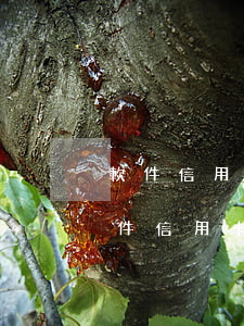 軟件信用卡逾期不還會(huì)怎么樣（軟件信用卡逾期不還會(huì)怎么樣）
