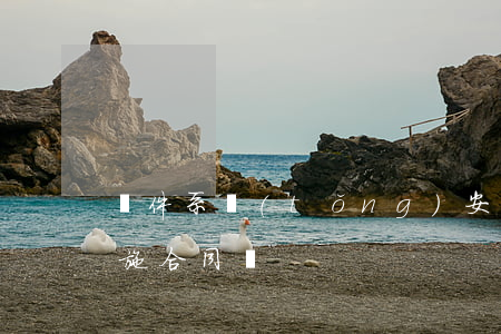 軟件系統(tǒng)安裝與實(shí)施合同書