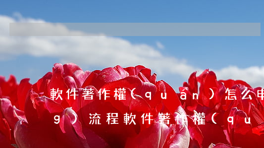 軟件著作權(quán)怎么申請(qǐng)流程(軟件著作權(quán)登記證書(shū)怎么辦理)