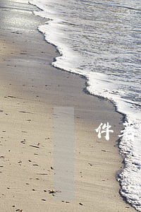 軟件著作權(quán)源碼