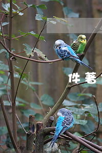 軟件著作權人的權利有哪些