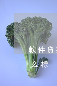 軟件貸款逾期了會怎么樣(平臺貸款逾期會怎么樣)