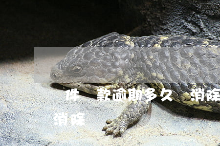 軟件貸款逾期多久會消除(貸款有逾期多久能消除)