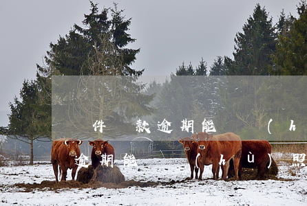 軟件貸款逾期能辦護(hù)照嗎(軟件貸款逾期能辦護(hù)照嗎)