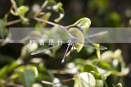 軟著是什么
