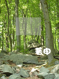 軟著申請需要材料(軟著申請流程圖)