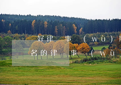 較好律師事務(wù)所(國內(nèi)知名的律師事務(wù)所)