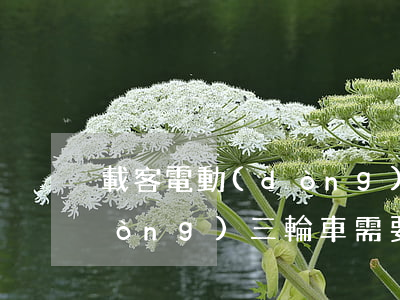 載客電動(dòng)三輪車(載客電動(dòng)三輪車需要駕駛證嗎)