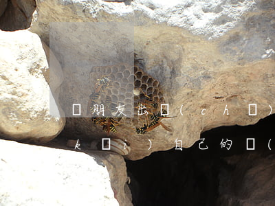 載朋友出車(chē)禍怎么賠償(朋友開(kāi)自己的車(chē)出車(chē)禍應(yīng)該怎么賠償)