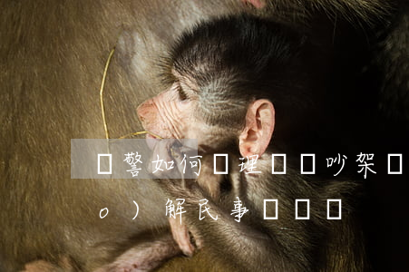輔警如何處理糾紛吵架(輔警可以調(diào)解民事糾紛嗎)