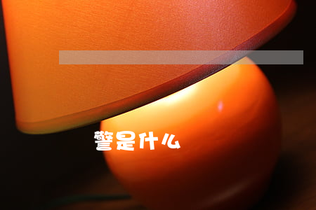 輔警是什么