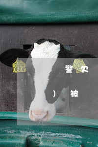 輔警欠網(wǎng)貸信用卡會(huì)被辭退嗎(有欠款輔警征信能過嗎)