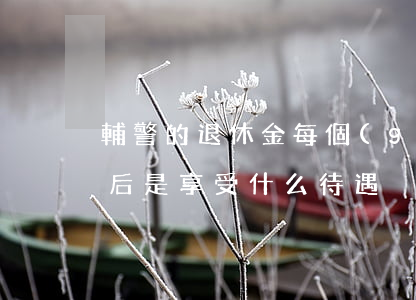 輔警的退休金每個(gè)月多少(輔警退休后是享受什么待遇)