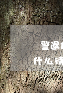 輔警退休后一個月多少錢(輔警退休后是享受什么待遇)
