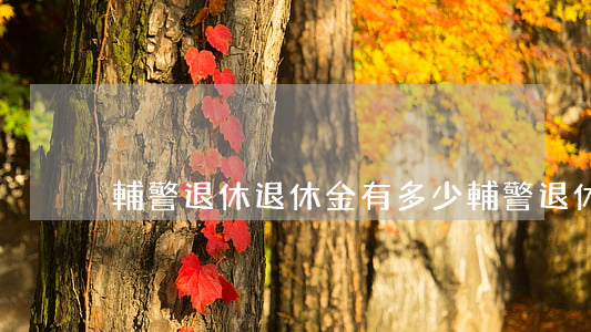 輔警退休退休金有多少(輔警退休金多少錢)