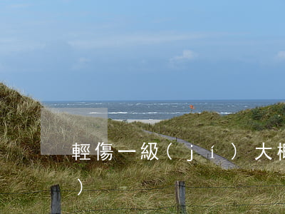 輕傷一級(jí)大概賠多少錢(qián)