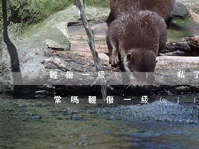 輕傷一級(jí)私了30萬(wàn)正常嗎(輕傷一級(jí)私了要多少錢(qián))