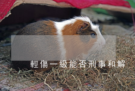 輕傷一級能否刑事和解