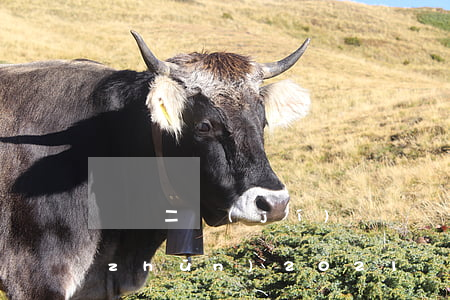 輕傷二級(jí)賠償標(biāo)準(zhǔn)2021