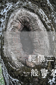 輕傷二級一般會怎么判(交通事故輕傷二級一般會怎么判)