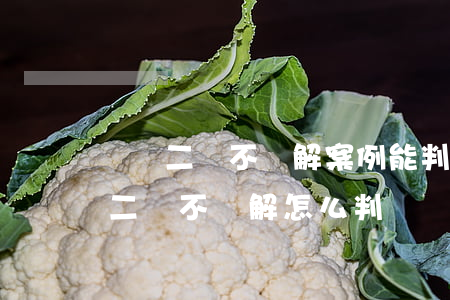 輕傷二級不諒解案例能判緩嗎(民事糾紛輕傷二級不諒解怎么判)