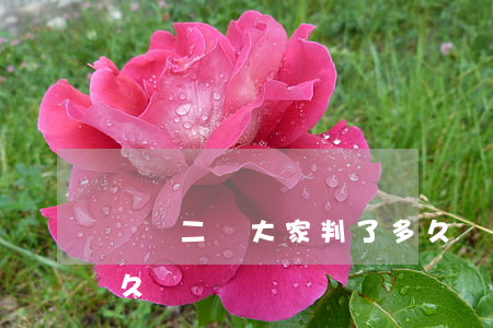 輕傷二級大家判了多久(輕傷二級大家判了多久)