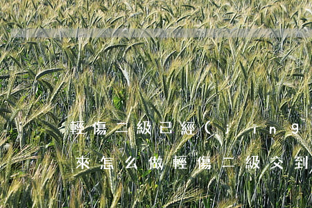 輕傷二級已經(jīng)到檢察院了接下來怎么做(輕傷二級交到檢察院后,下一步再怎么處理)
