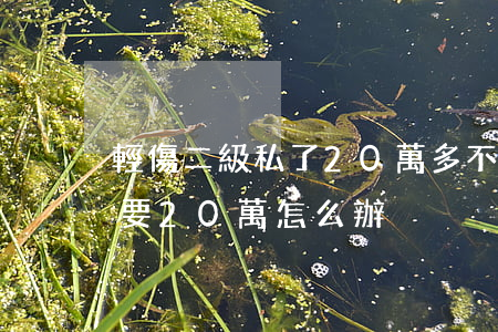 輕傷二級私了20萬多不貼吧(輕傷二級對方要20萬怎么辦)