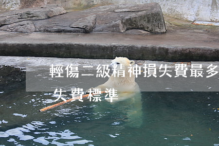 輕傷二級精神損失費最多多少(輕微傷精神損失費標準)