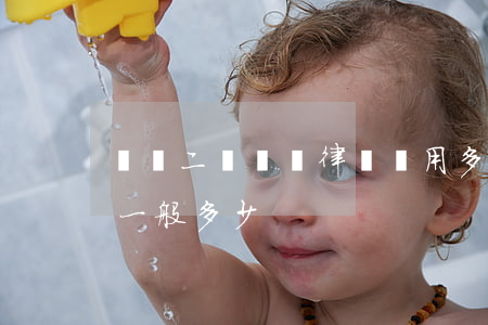 輕傷二級請個律師費用多少錢(輕傷害律師費一般多少)
