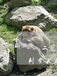 輕傷二級諒解后怎么判(輕傷二級諒解后怎么判有案底)