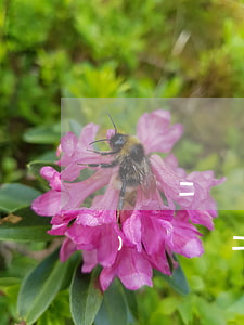 輕傷二級賠償標(biāo)準(zhǔn)(輕傷二級賠償標(biāo)準(zhǔn)賠償多少)