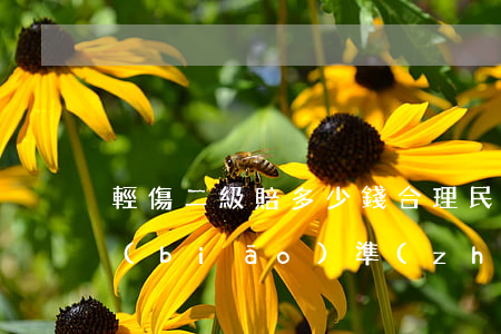 輕傷二級賠多少錢合理(民事輕傷二級賠償標(biāo)準(zhǔn)大概多少錢?)