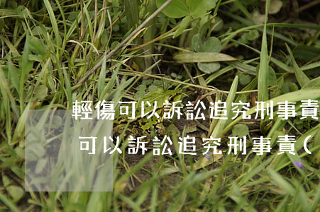 輕傷可以訴訟追究刑事責(zé)任嗎(輕傷可以訴訟追究刑事責(zé)任嗎)