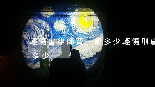 輕傷害律師費一般多少(輕傷刑事案件律師費多少)