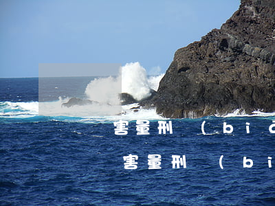 輕傷害量刑標(biāo)準(zhǔn)(輕傷害量刑標(biāo)準(zhǔn)判幾年)