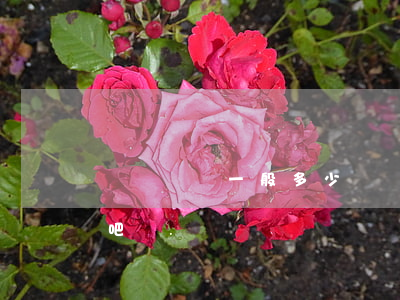 輕傷賠償一般多少錢(輕傷賠償一般多少錢貼吧)
