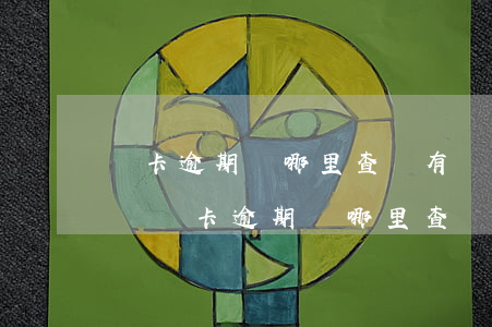輕卡逾期從哪里查詢有沒(méi)有被起訴 輕卡逾期從哪里查詢有沒(méi)有被起訴