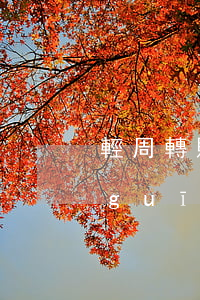 輕周轉賬逾期怎么辦 輕周轉芒果籌是正規(guī)的平臺嗎