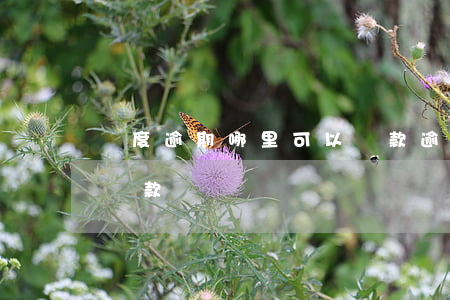 輕度逾期哪里可以貸款(逾期多久后才能正常貸款)