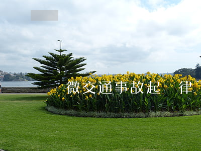 輕微交通事故起訴律師費誰給