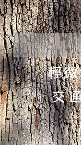 輕微傷不調(diào)解30天后怎么辦(交通輕微傷不調(diào)解30天后怎么辦)
