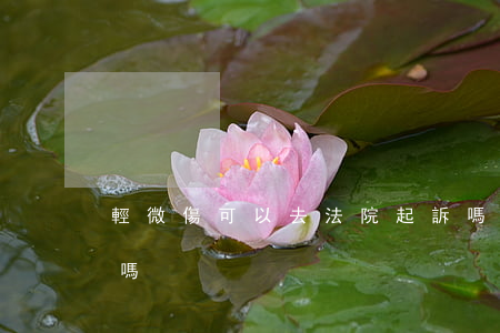 輕微傷可以去法院起訴嗎(輕微傷法院會受理嗎)