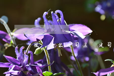 輕微傷怎么做司法鑒定(司法鑒定怎么算輕傷)